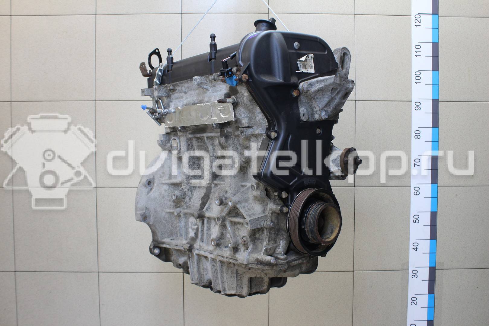 Фото Контрактный (б/у) двигатель XMJA для Ford Fiesta 65 л.с 12V 1.0 л бензин 1734722 {forloop.counter}}