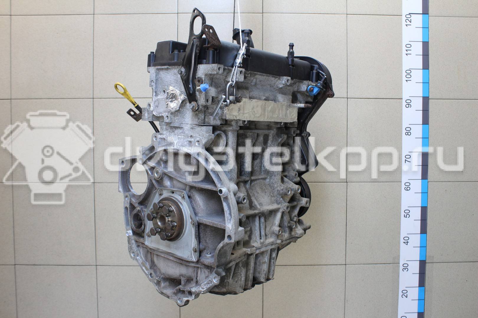 Фото Контрактный (б/у) двигатель XMJA для Ford Fiesta 65 л.с 12V 1.0 л бензин 1734722 {forloop.counter}}