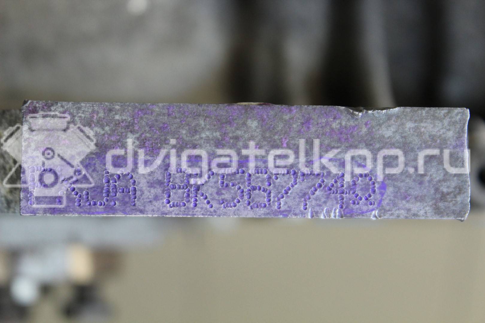 Фото Контрактный (б/у) двигатель XMJA для Ford Fiesta 65 л.с 12V 1.0 л бензин 1734722 {forloop.counter}}