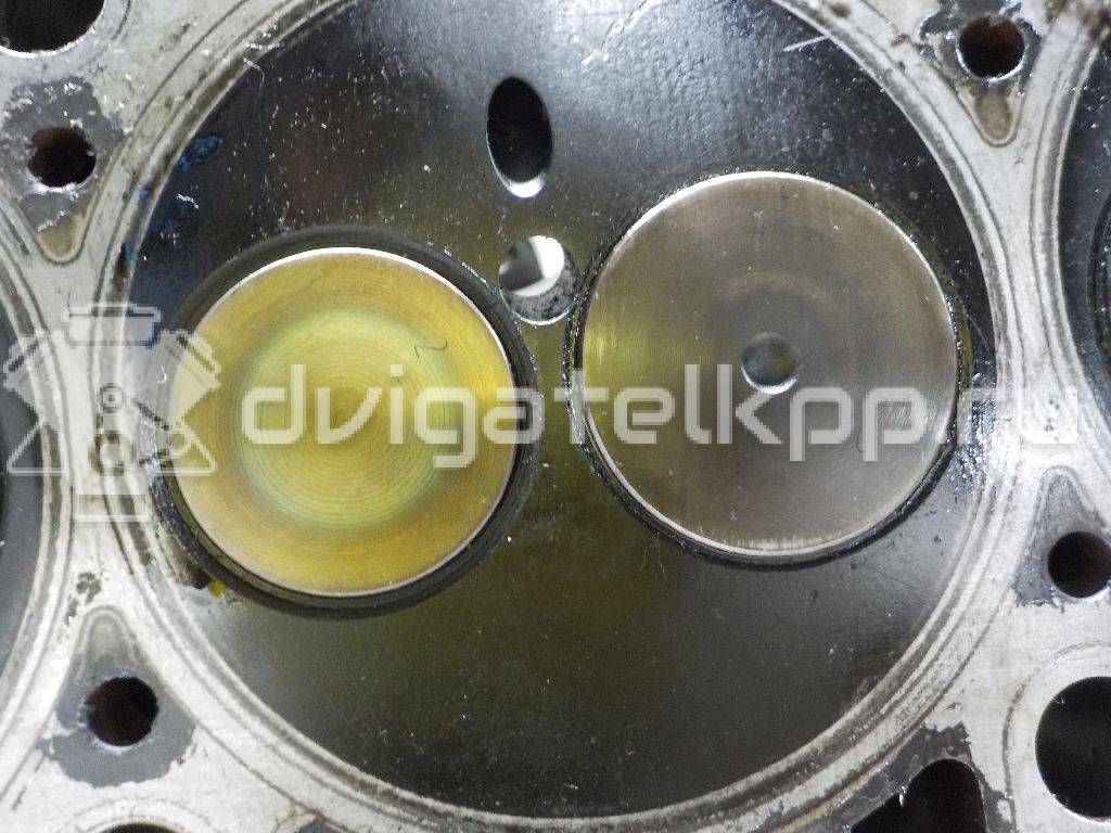 Фото Головка блока для двигателя AMF для Volkswagen Polo / Lupo 6X1, 6E1 75 л.с 6V 1.4 л Дизельное топливо 045103351A {forloop.counter}}