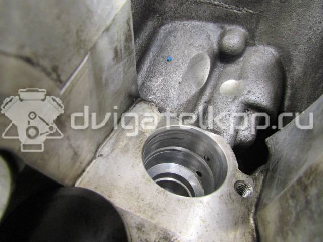 Фото Головка блока  070103265X для Volkswagen Transporter / Multivan / Touareg {forloop.counter}}