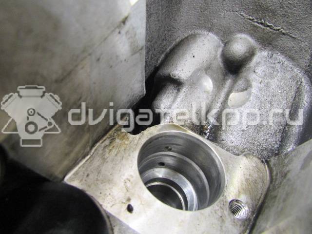 Фото Головка блока  070103265X для Volkswagen Transporter / Multivan / Touareg {forloop.counter}}