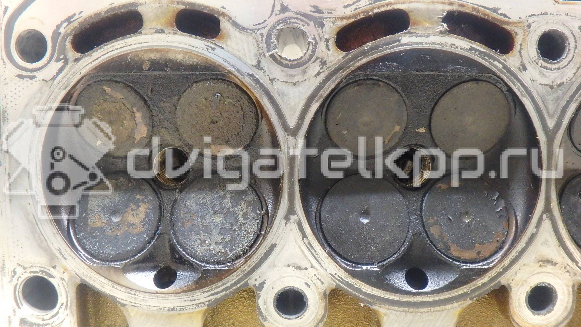 Фото Головка блока  03C103264E для vw EOS {forloop.counter}}