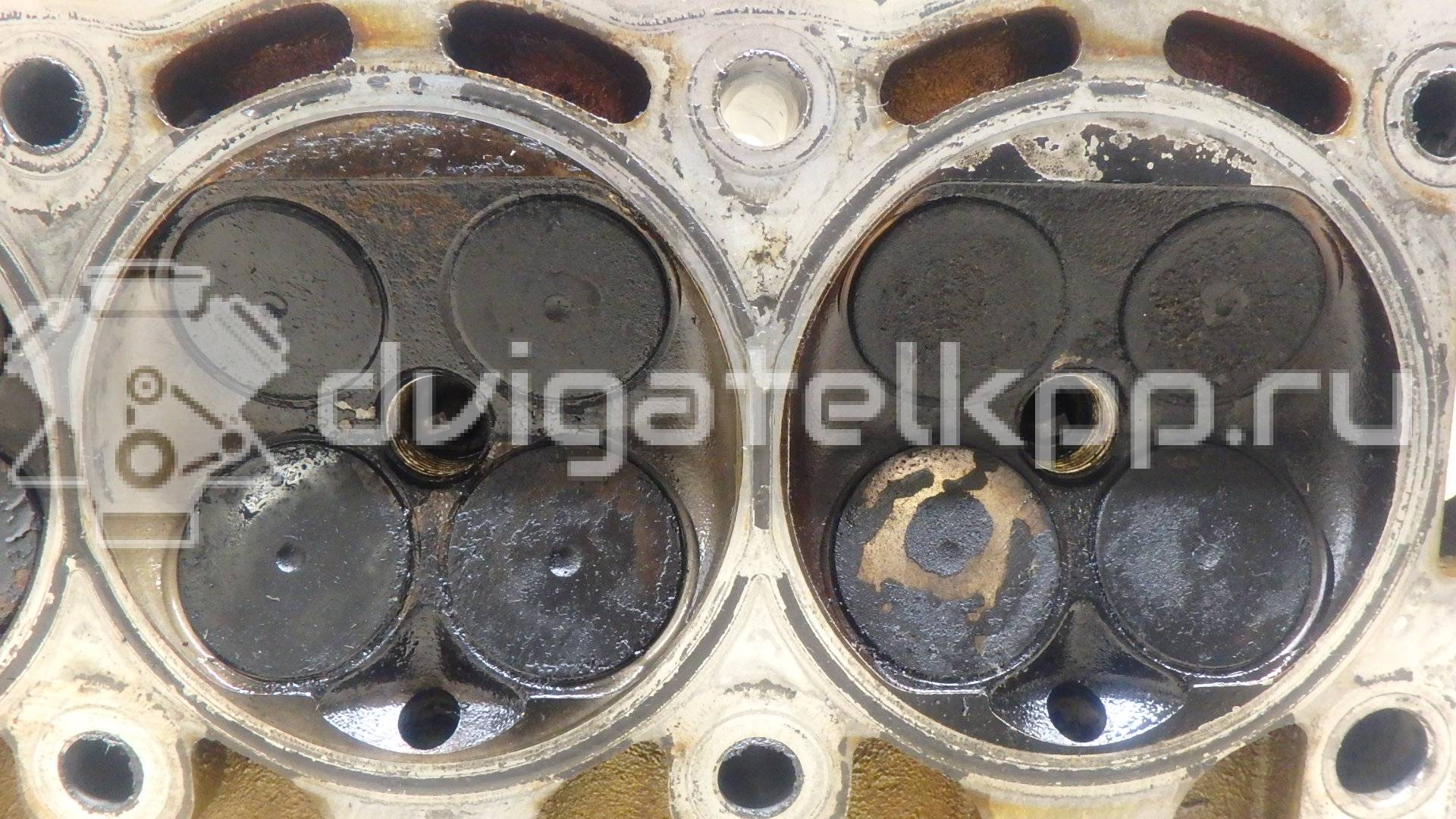 Фото Головка блока  03C103264E для vw EOS {forloop.counter}}