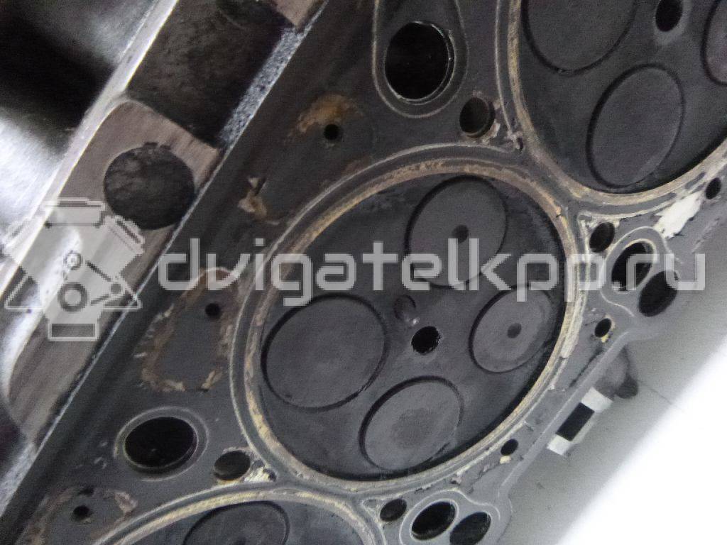 Фото Головка блока  059103266fx для audi A4 [B5] {forloop.counter}}