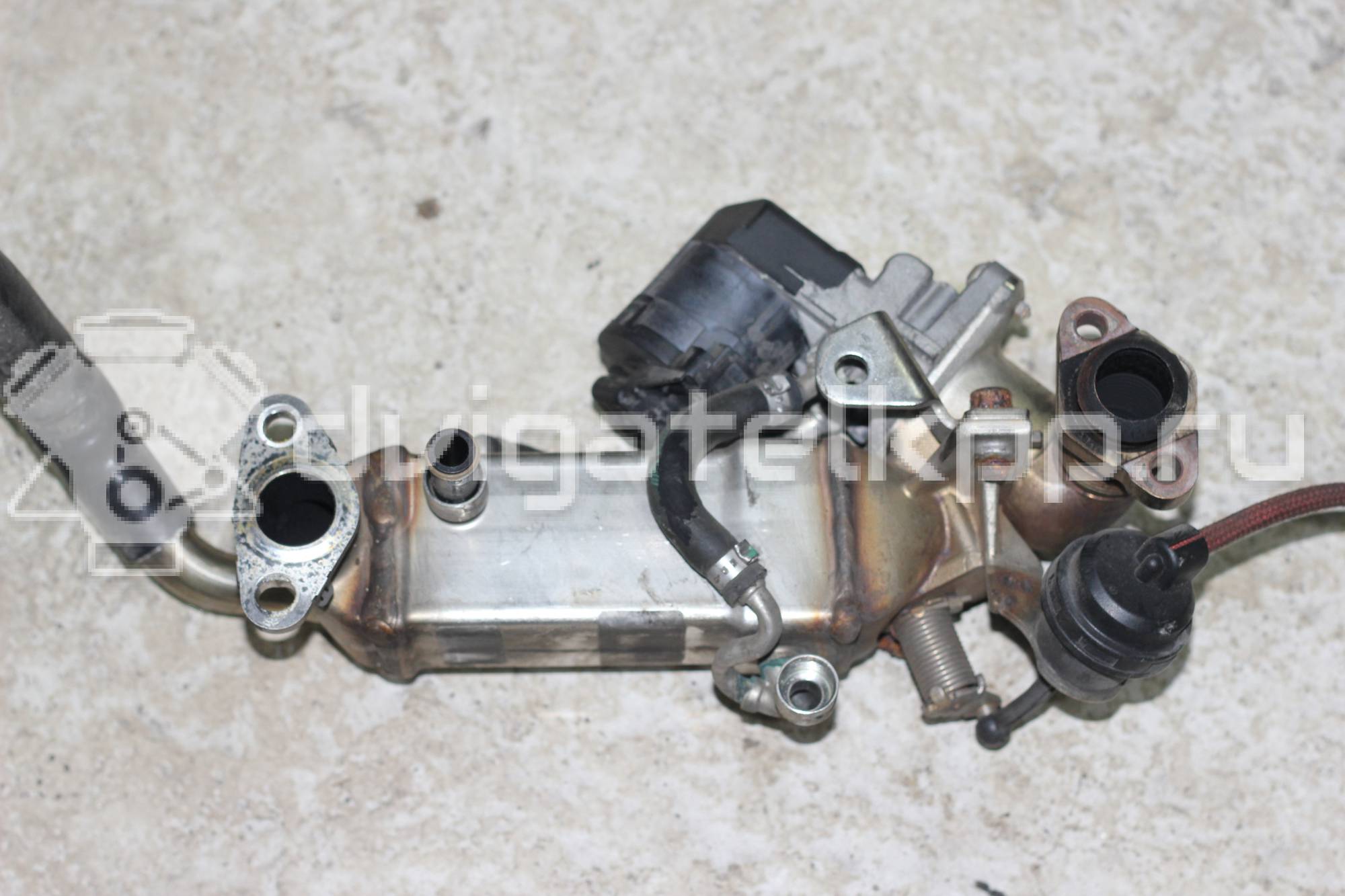 Фото Радиатор системы EGR  7805446 для bmw X5 {forloop.counter}}