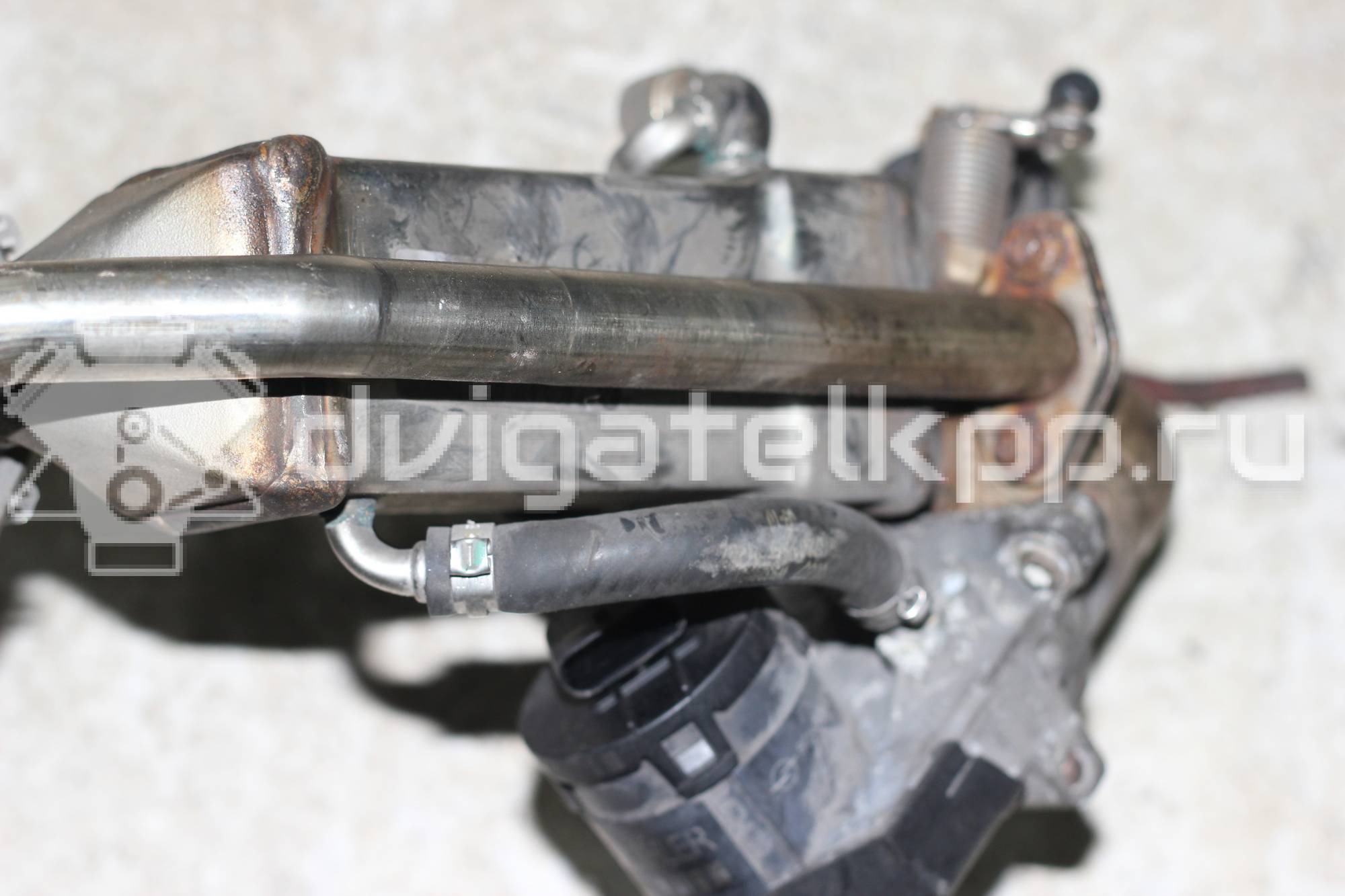 Фото Радиатор системы EGR  7805446 для bmw X5 {forloop.counter}}