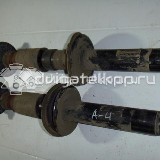 Фото Амортизатор передний  8k0413031bb для Audi A5 / A4