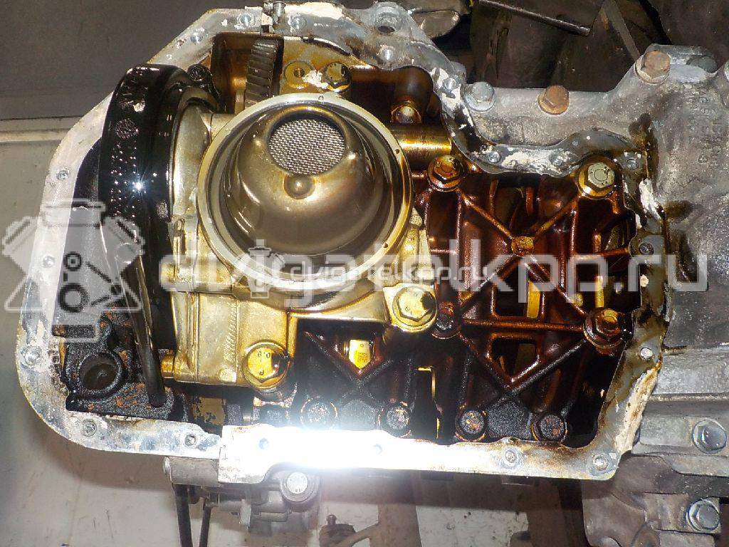 Фото Контрактный (б/у) двигатель BME для Volkswagen Polo 64 л.с 12V 1.2 л бензин 03E100032GX {forloop.counter}}