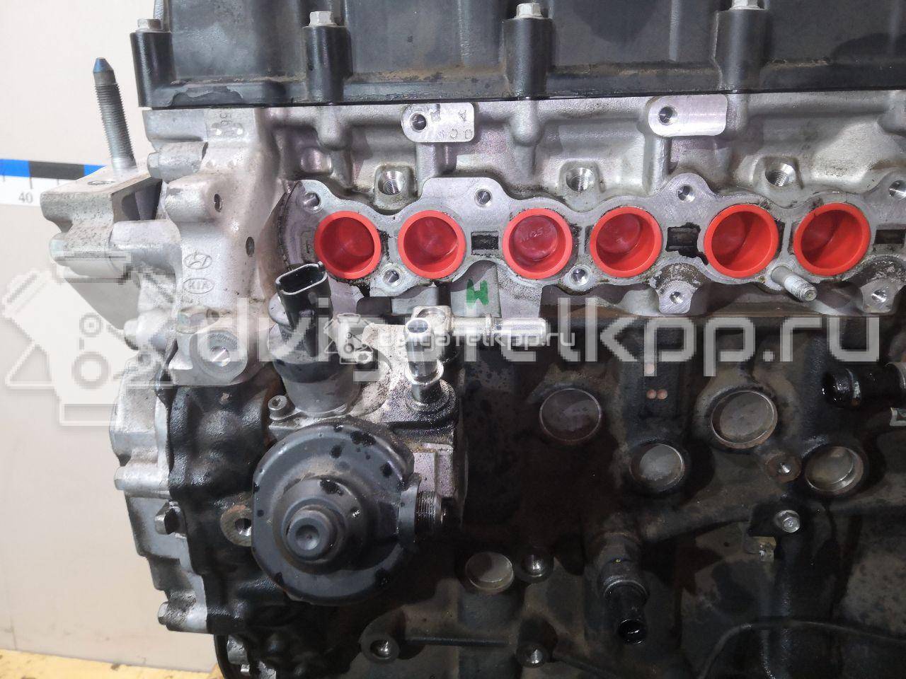 Фото Контрактный (б/у) двигатель D4HA для Hyundai / Kia 136-185 л.с 16V 2.0 л Дизельное топливо Z62612FZ00 {forloop.counter}}