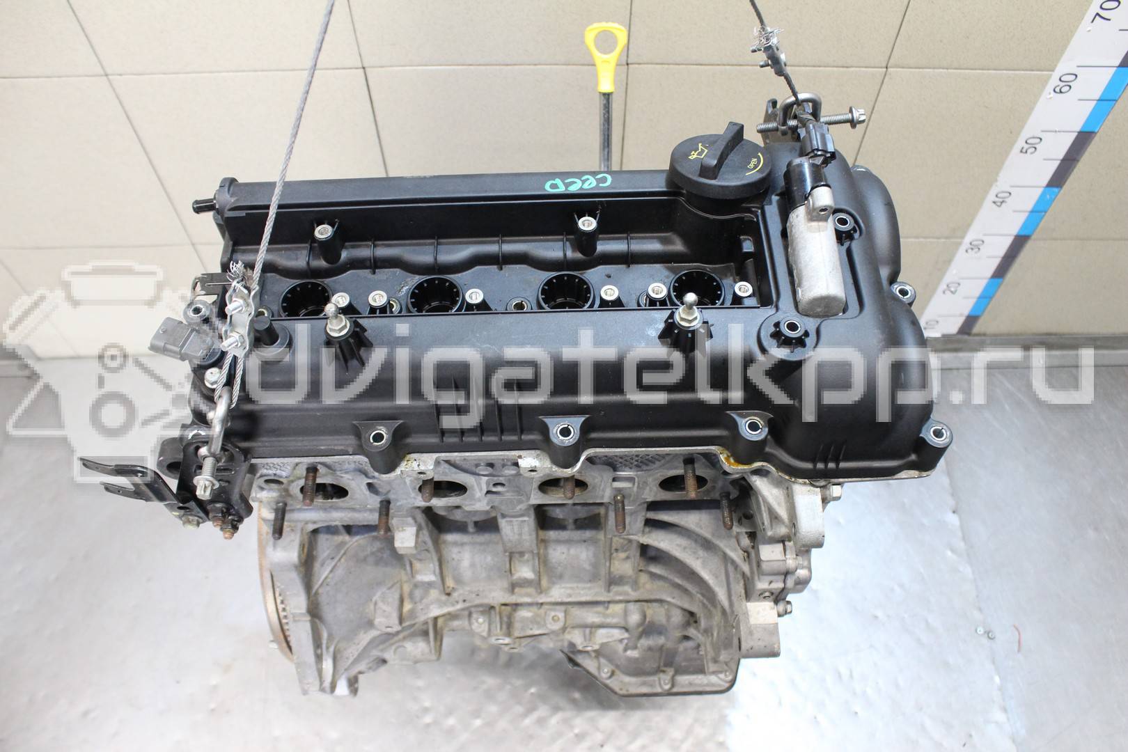 Фото Контрактный (б/у) двигатель G4FG для Hyundai / Kia 120-132 л.с 16V 1.6 л бензин Z71312BZ00 {forloop.counter}}