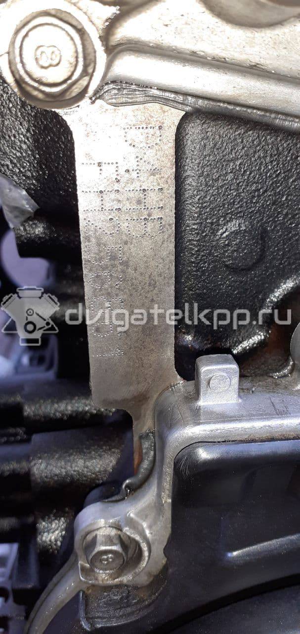 Фото Контрактный (б/у) двигатель D4HB для Hyundai / Kia 197-203 л.с 16V 2.2 л Дизельное топливо 1F2412FH00 {forloop.counter}}