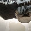 Фото Контрактный (б/у) двигатель M 271.952 (M271 KE18 ML) для Mercedes-Benz C-Class 156 л.с 16V 1.8 л бензин 2710101847 {forloop.counter}}
