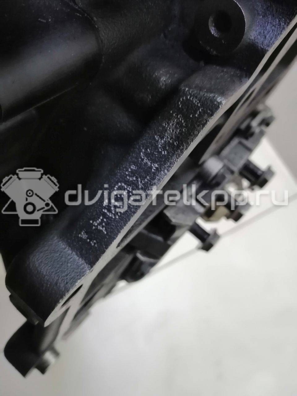 Фото Контрактный (б/у) двигатель CAYC для Volkswagen Touran / Golf / Passat / Beetle / Jetta 105 л.с 16V 1.6 л Дизельное топливо 03L100036K {forloop.counter}}