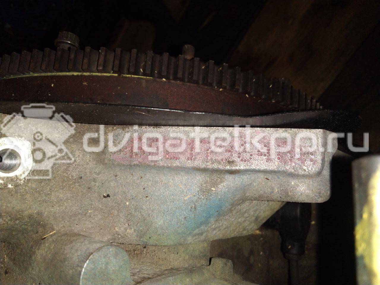 Фото Контрактный (б/у) двигатель BSE для Seat Leon 102 л.с 8V 1.6 л бензин 06A100043P {forloop.counter}}