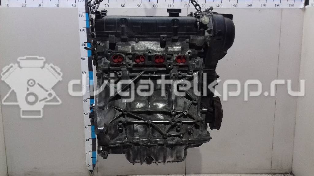 Фото Контрактный (б/у) двигатель CT для Volkswagen / Ford (Changan) 110 л.с 16V 1.5 л бензин 1537995 {forloop.counter}}