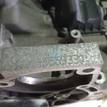 Фото Контрактный (б/у) двигатель FXJB для Ford Fiesta 80 л.с 16V 1.4 л бензин 1734722 {forloop.counter}}