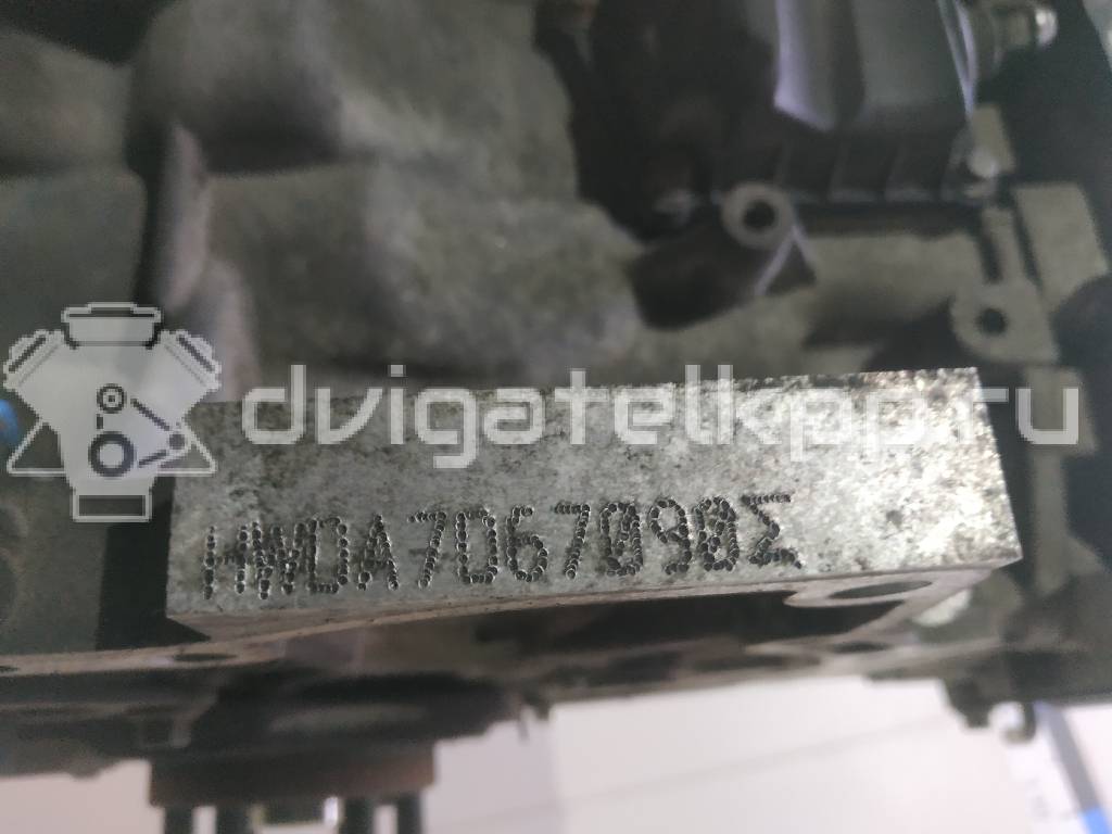 Фото Контрактный (б/у) двигатель HWDB для Ford Focus 100 л.с 16V 1.6 л бензин 1806552 {forloop.counter}}