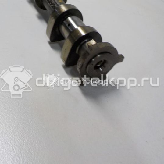 Фото Распредвал впускной  AT4Z6250B для Ford Falcon