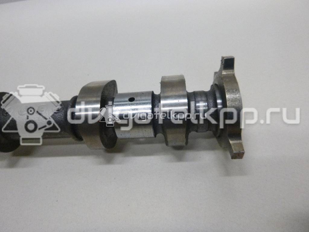 Фото Распредвал впускной  AT4Z6250B для Ford Falcon {forloop.counter}}