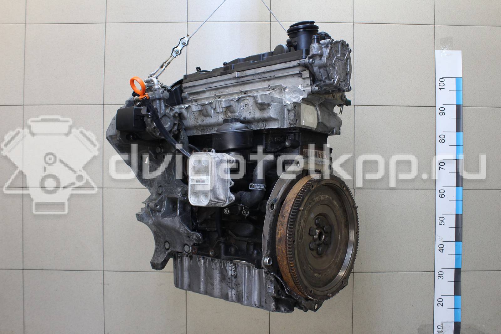 Фото Контрактный (б/у) двигатель CAYC для Volkswagen Touran / Golf / Passat / Beetle / Jetta 105 л.с 16V 1.6 л Дизельное топливо 03L100036M {forloop.counter}}