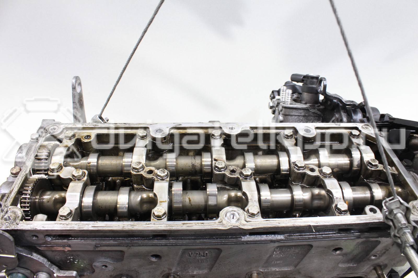 Фото Контрактный (б/у) двигатель CAAC для Volkswagen Transporter / Multivan 140 л.с 16V 2.0 л Дизельное топливо 03L100036S {forloop.counter}}