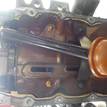 Фото Контрактный (б/у) двигатель FXJB для Ford Fiesta 80 л.с 16V 1.4 л бензин 1734722 {forloop.counter}}
