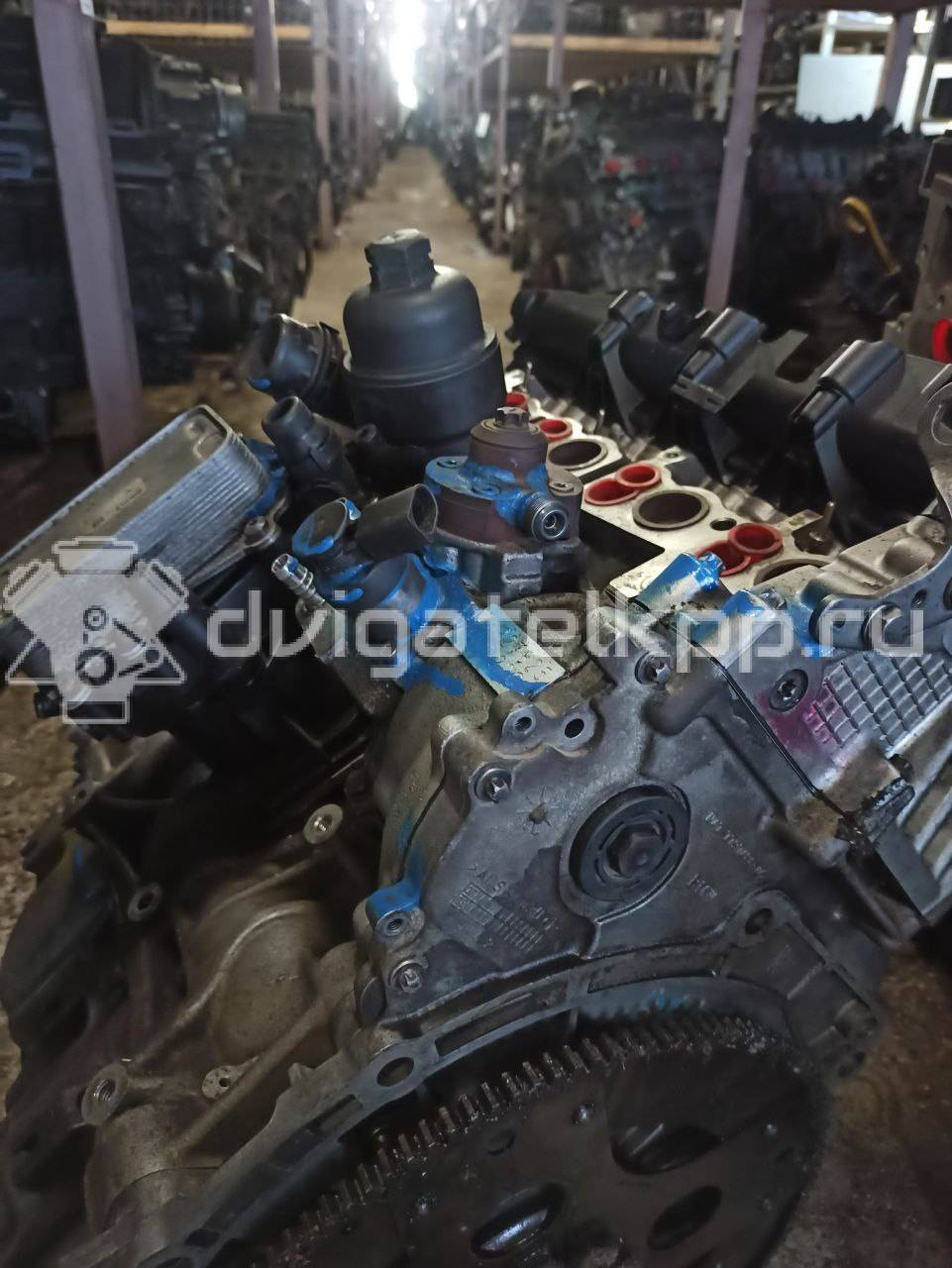 Фото Контрактный (б/у) двигатель N47 D20 C для Bmw 3 / 5 / 1 / 4 / X3 214 л.с 16V 2.0 л Дизельное топливо 11002184389 {forloop.counter}}