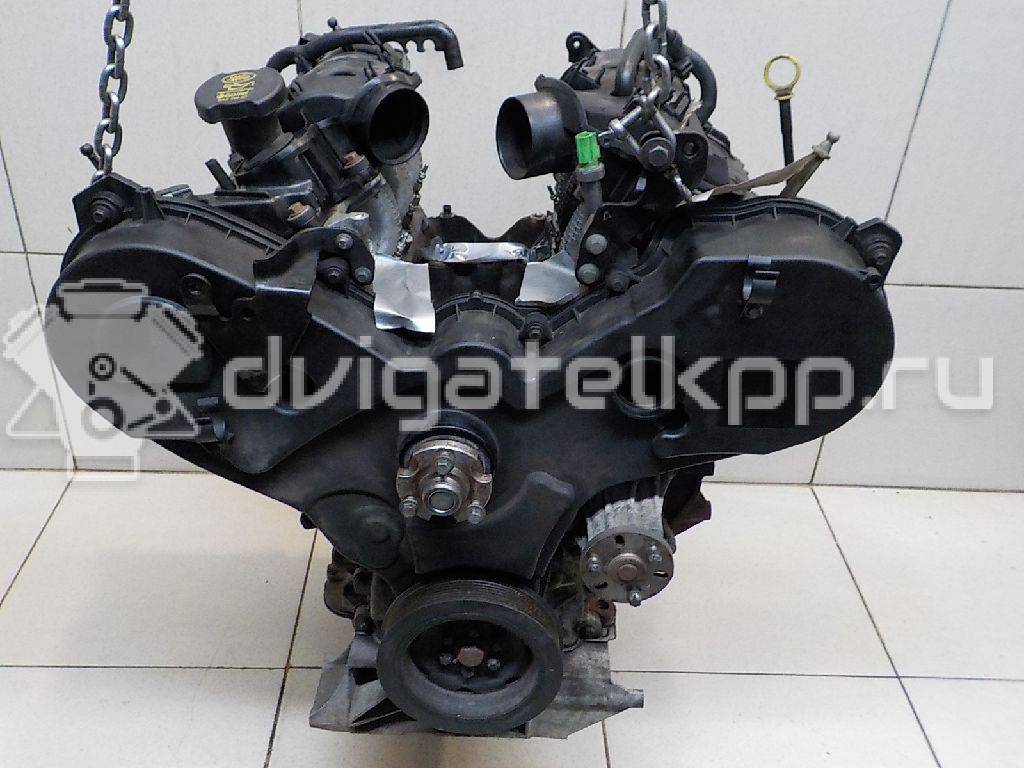 Фото Контрактный (б/у) двигатель 276DT для Ford Australia / Land Rover 190 л.с 24V 2.7 л Дизельное топливо LR004729 {forloop.counter}}