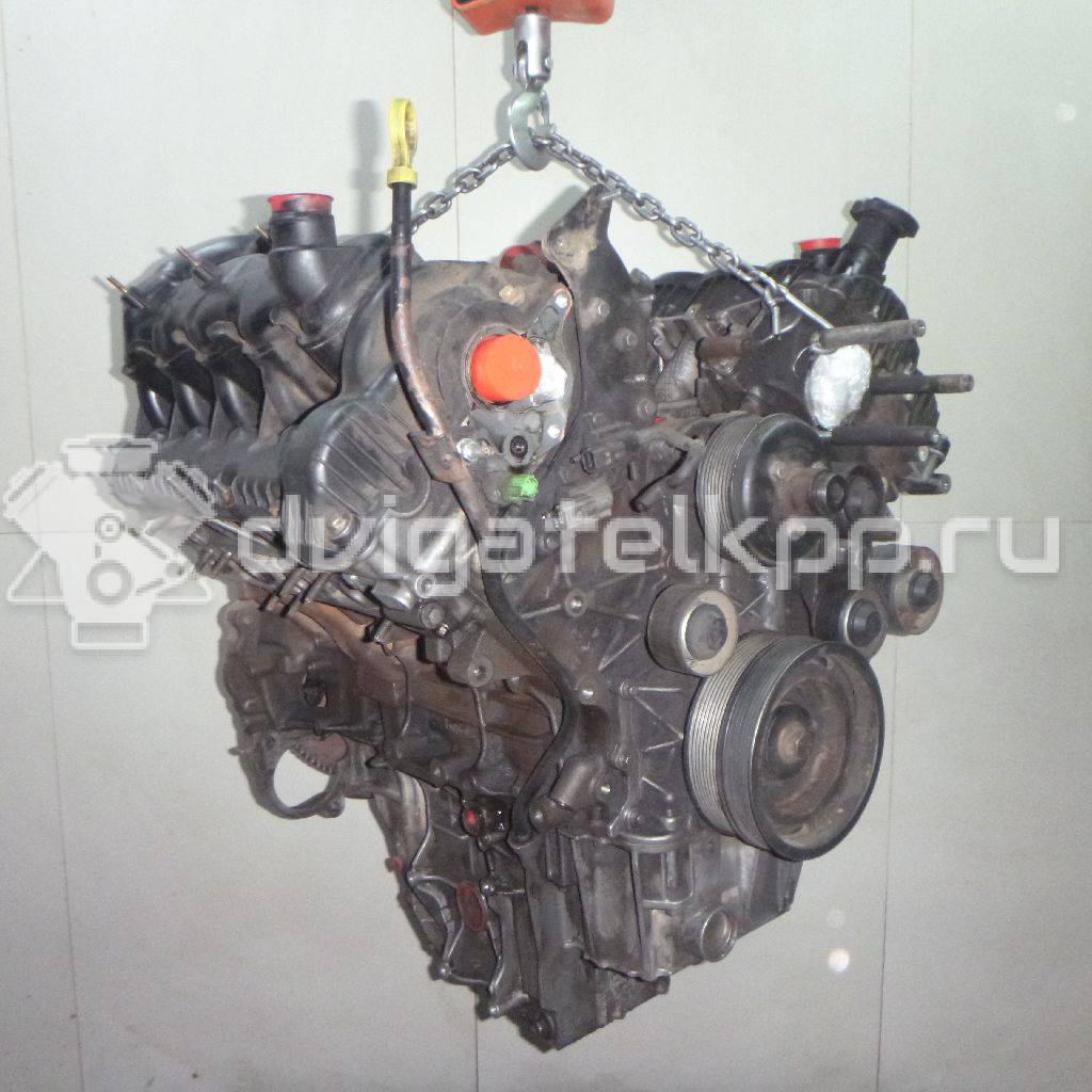 Фото Контрактный (б/у) двигатель 368DT для Land Rover Range Rover 272 л.с 32V 3.6 л Дизельное топливо LR006676 {forloop.counter}}