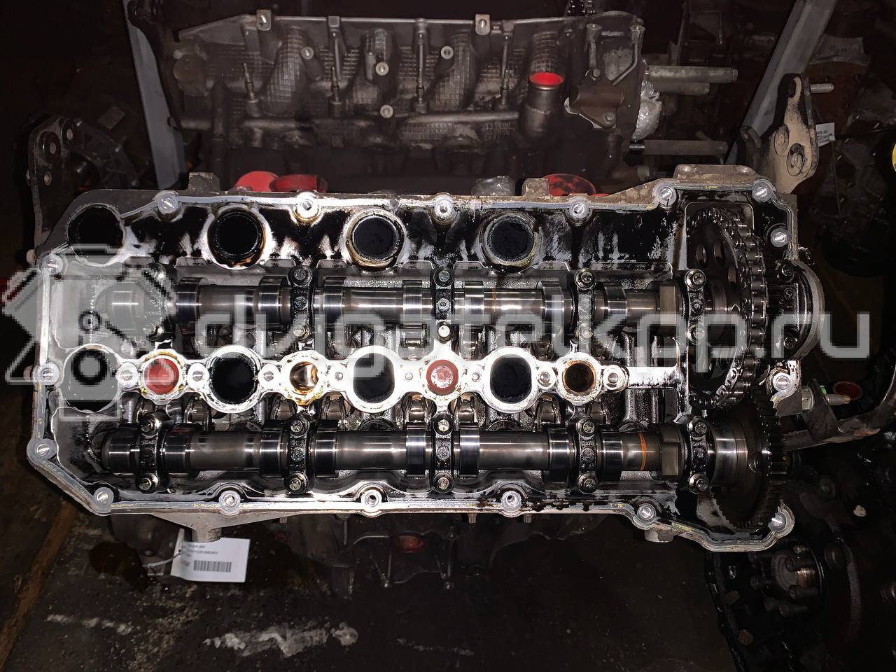 Фото Контрактный (б/у) двигатель 368DT для Land Rover Range Rover 272 л.с 32V 3.6 л Дизельное топливо LR006676 {forloop.counter}}