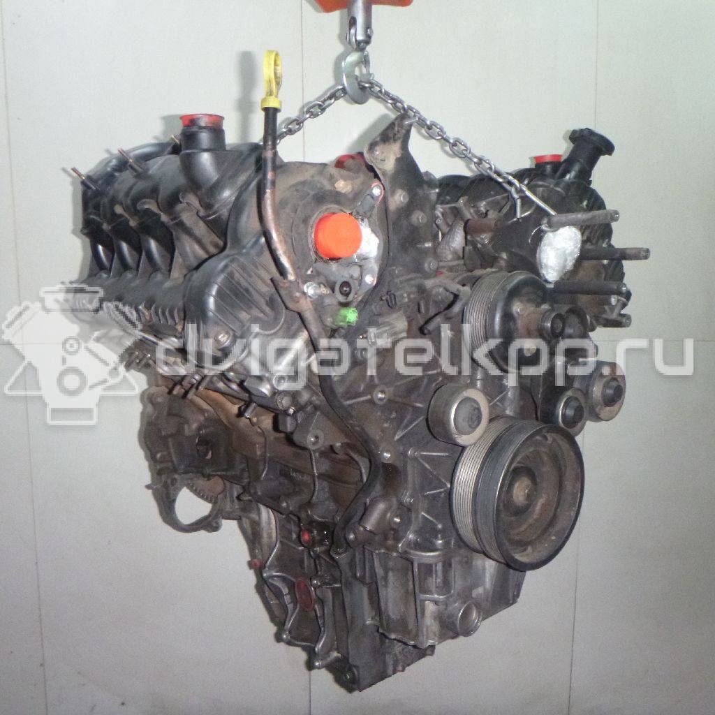 Фото Контрактный (б/у) двигатель 368DT для Land Rover Range Rover 272 л.с 32V 3.6 л Дизельное топливо LR006676 {forloop.counter}}