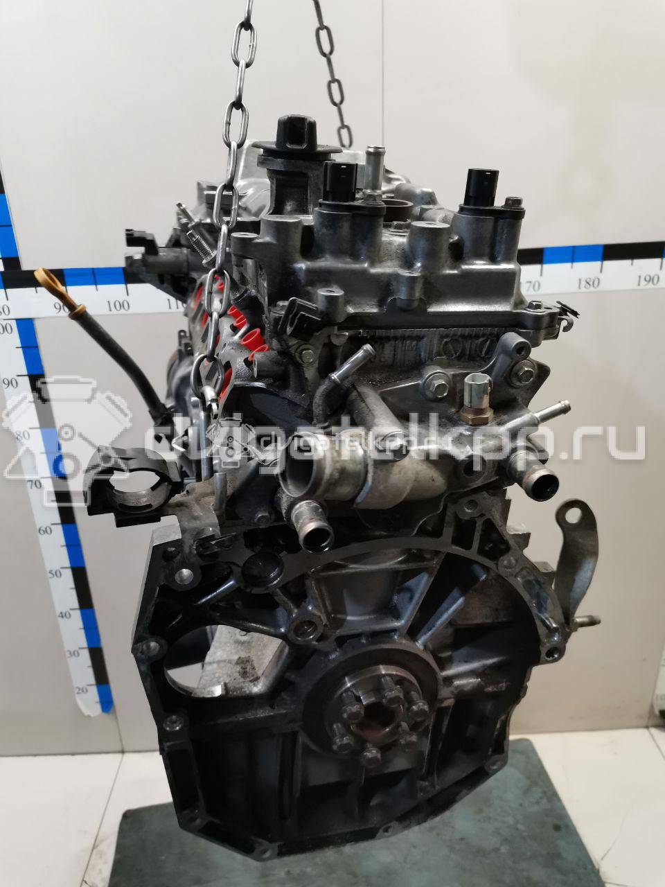 Фото Контрактный (б/у) двигатель HR16DE для Venucia / Dongfeng (Dfac) / Nissan (Zhengzhou) / Samsung / Mazda / Nissan / Mitsubishi / Nissan (Dongfeng) 117-124 л.с 16V 1.6 л бензин 101021KA0F {forloop.counter}}