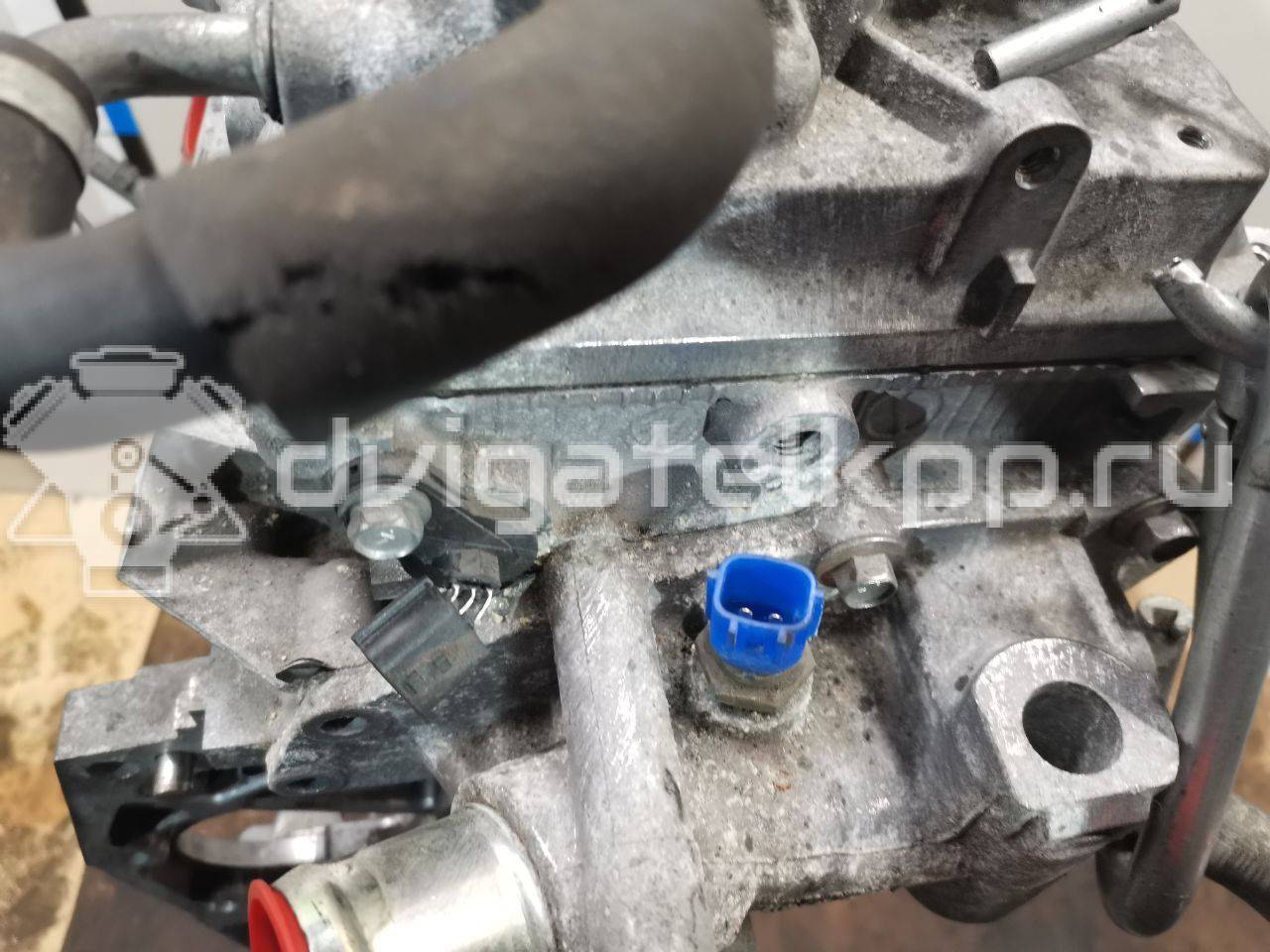 Фото Контрактный (б/у) двигатель HR16DE для Venucia / Dongfeng (Dfac) / Nissan (Zhengzhou) / Samsung / Mazda / Nissan / Mitsubishi / Nissan (Dongfeng) 117-124 л.с 16V 1.6 л бензин 10102BC23F {forloop.counter}}