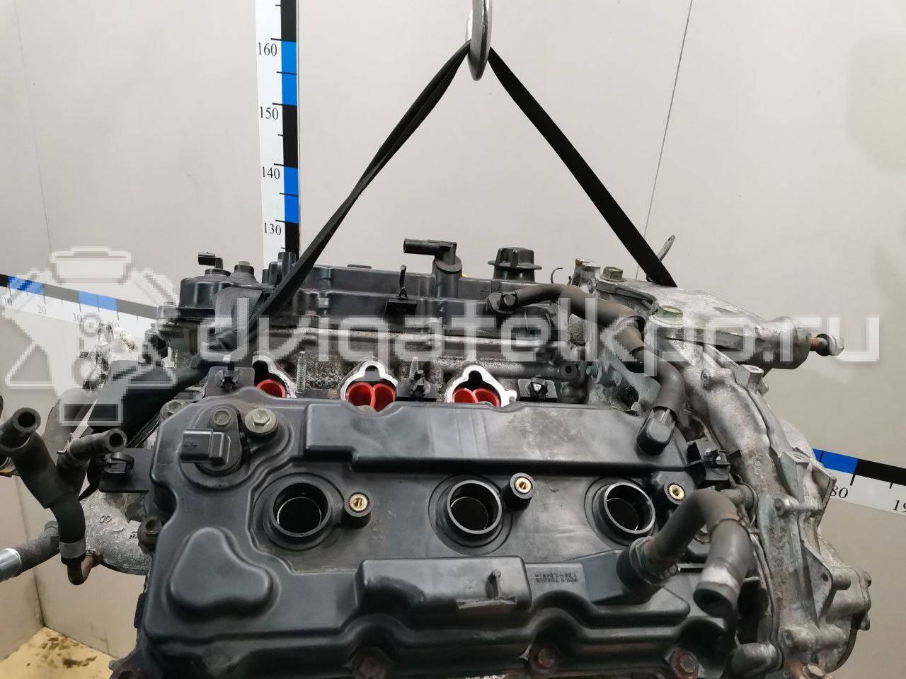 Фото Контрактный (б/у) двигатель VQ35DE для Infiniti / Mitsuoka / Isuzu / Nissan / Nissan (Dongfeng) 218-258 л.с 24V 3.5 л бензин 10102JP0A2 {forloop.counter}}