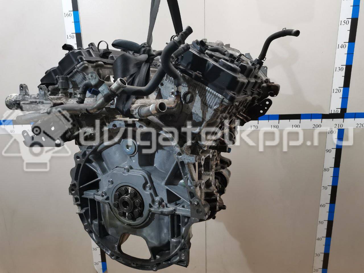 Фото Контрактный (б/у) двигатель VQ35DE для Infiniti / Mitsuoka / Isuzu / Nissan / Nissan (Dongfeng) 218-258 л.с 24V 3.5 л бензин 10102JP0A2 {forloop.counter}}