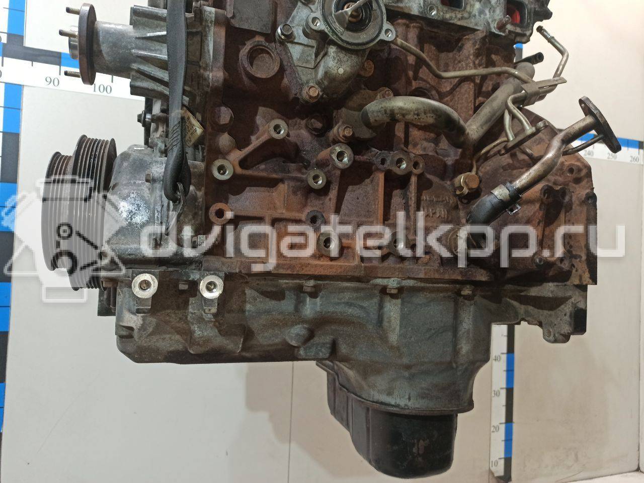 Фото Контрактный (б/у) двигатель YD25DDTi для Nissan Bassara / Nv350 E26 / Serena / Sani / Presage 100-190 л.с 16V 2.5 л Дизельное топливо 10102EB30A {forloop.counter}}