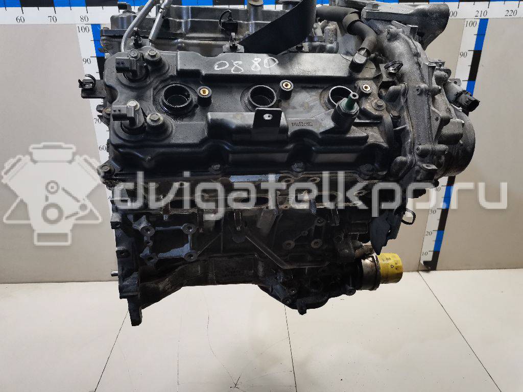 Фото Контрактный (б/у) двигатель VQ35DE для Infiniti / Mitsuoka / Isuzu / Nissan / Nissan (Dongfeng) 218-258 л.с 24V 3.5 л бензин 10102JKP0A {forloop.counter}}