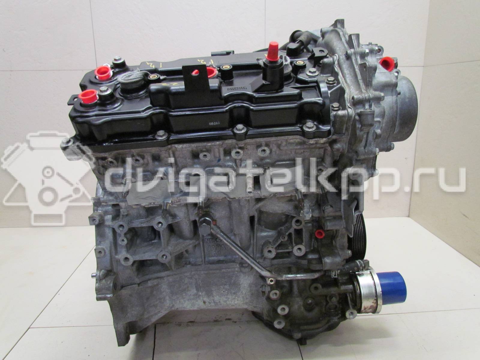 Фото Контрактный (б/у) двигатель VQ35DE для Infiniti / Mitsuoka / Isuzu / Nissan / Nissan (Dongfeng) 243-284 л.с 24V 3.5 л бензин 10102JKP0A {forloop.counter}}