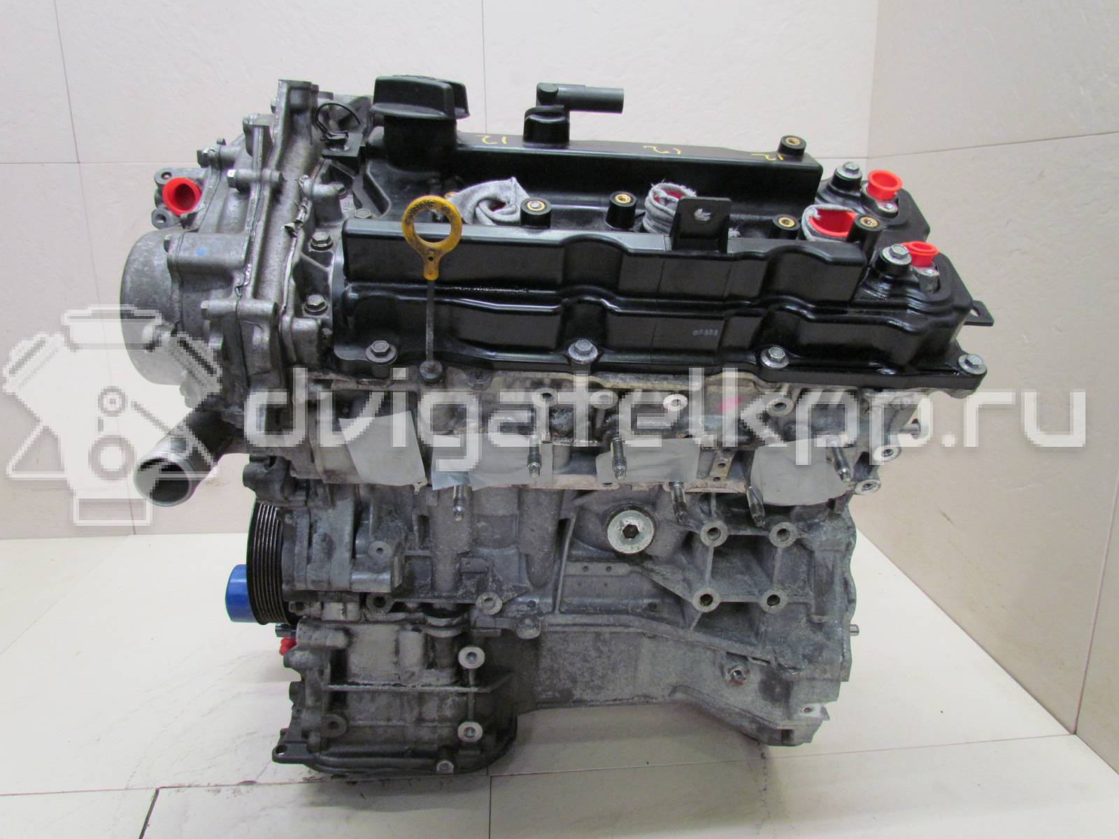 Фото Контрактный (б/у) двигатель VQ35DE для Infiniti / Mitsuoka / Isuzu / Nissan / Nissan (Dongfeng) 243-284 л.с 24V 3.5 л бензин 10102JKP0A {forloop.counter}}