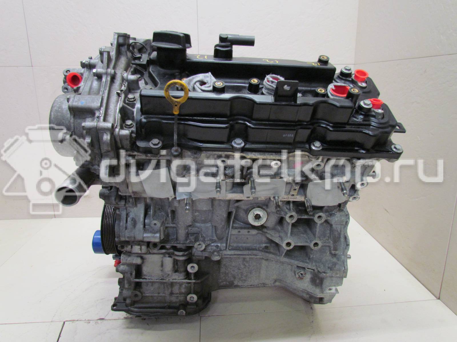 Фото Контрактный (б/у) двигатель VQ35DE для Infiniti / Mitsuoka / Isuzu / Nissan / Nissan (Dongfeng) 240 л.с 24V 3.5 л бензин 10102JKP0A {forloop.counter}}