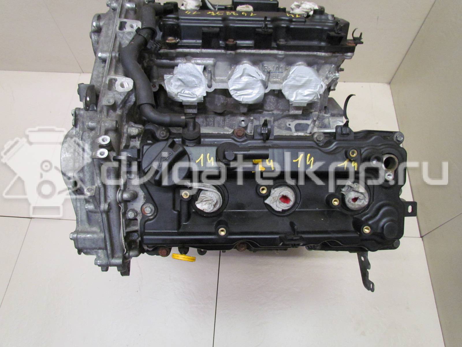 Фото Контрактный (б/у) двигатель VQ35DE для Infiniti / Mitsuoka / Isuzu / Nissan / Nissan (Dongfeng) 218-258 л.с 24V 3.5 л бензин 101023NT0A {forloop.counter}}