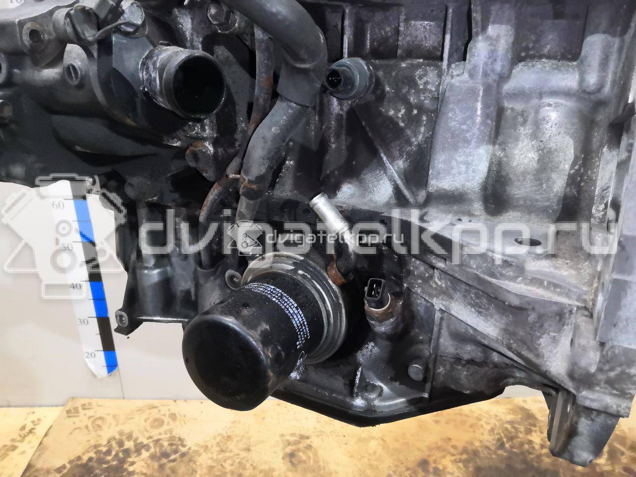 Фото Контрактный (б/у) двигатель MR20DE для Venucia / Suzuki / Samsung / Nissan / Nissan (Dongfeng) 144 л.с 16V 2.0 л бензин 10102JG4MA {forloop.counter}}