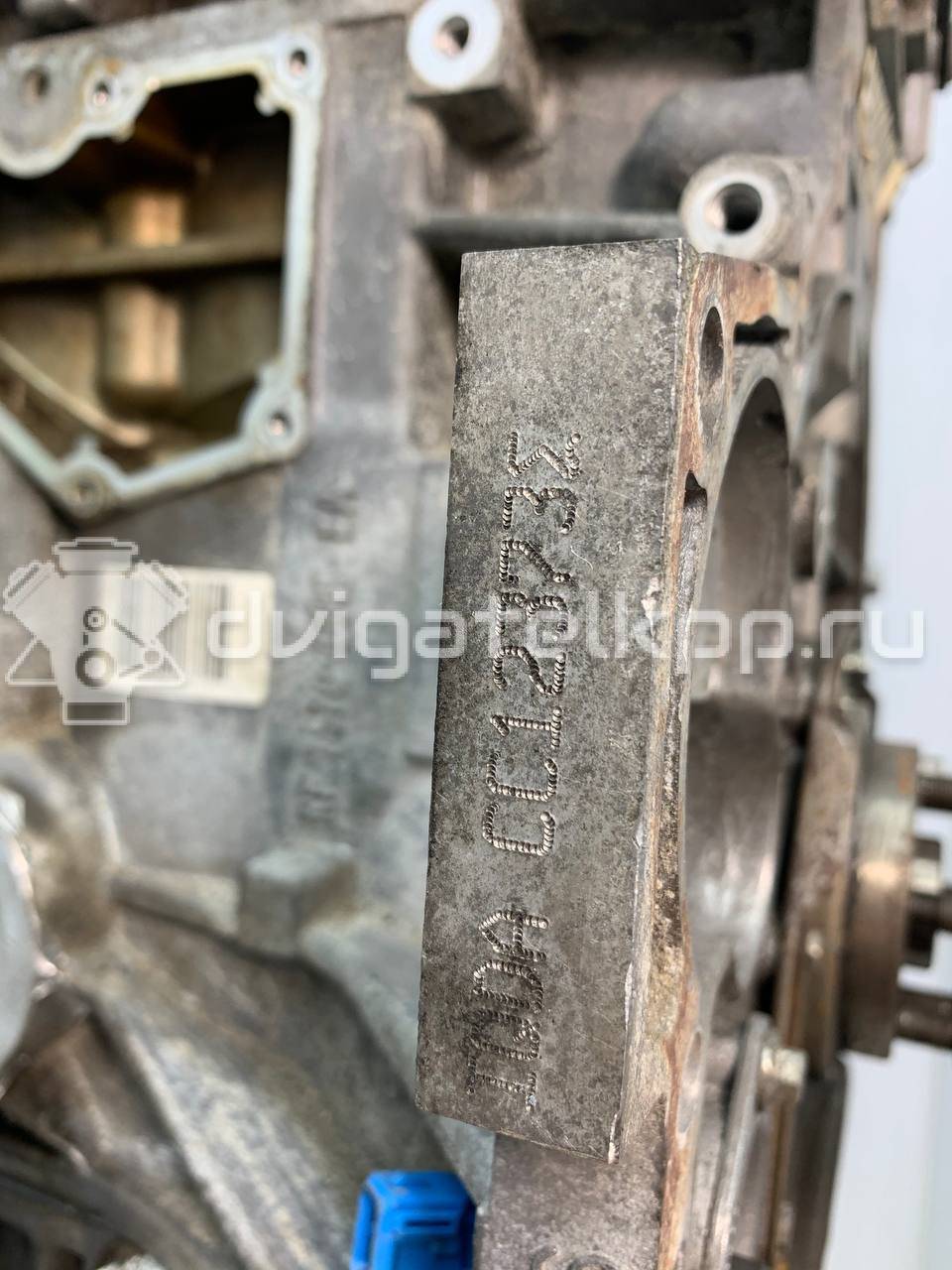 Фото Контрактный (б/у) двигатель CT для Volkswagen / Ford (Changan) 110 л.с 16V 1.5 л бензин 1727626 {forloop.counter}}