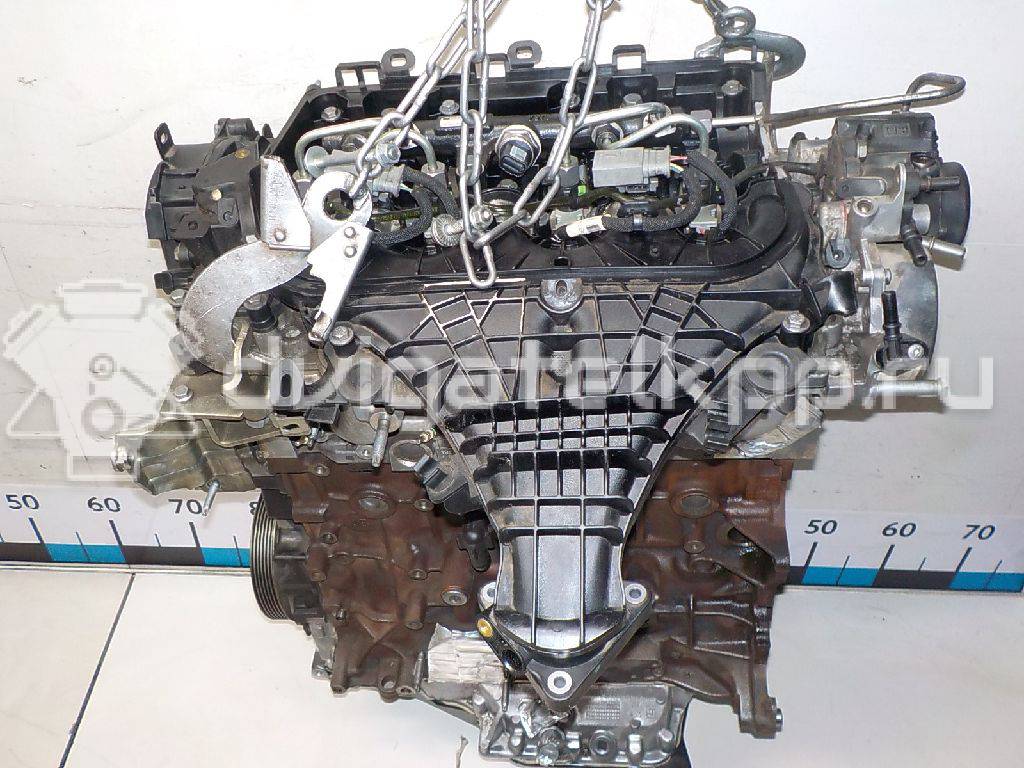 Фото Контрактный (б/у) двигатель UFDA для Ford Kuga 140 л.с 16V 2.0 л Дизельное топливо 1869767 {forloop.counter}}