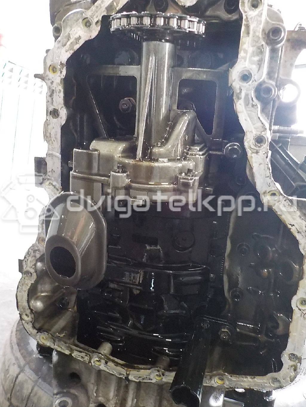 Фото Контрактный (б/у) двигатель UFDA для Ford Kuga 140 л.с 16V 2.0 л Дизельное топливо 1869767 {forloop.counter}}