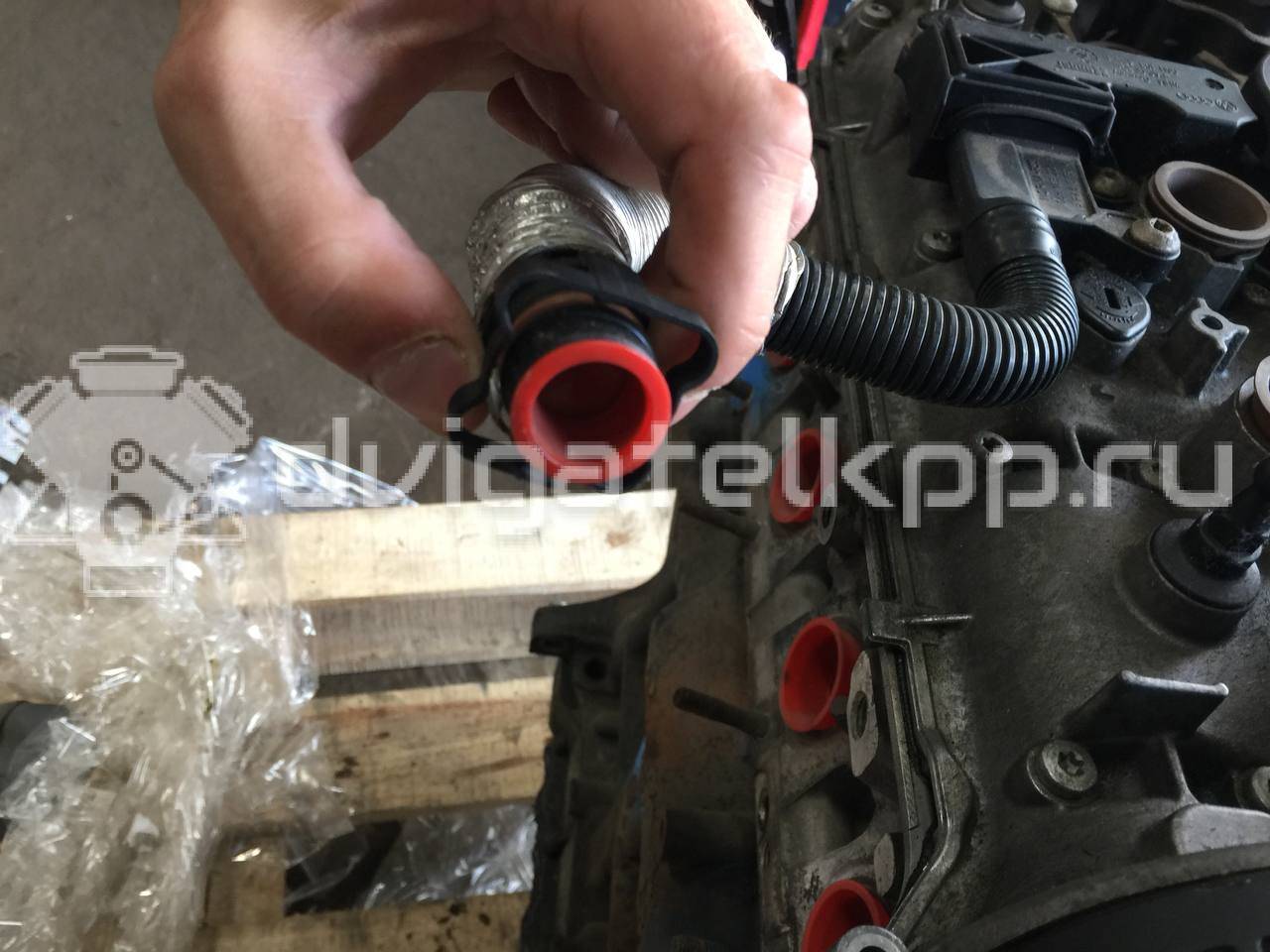 Фото Контрактный (б/у) двигатель CAWB для Volkswagen Tiguan 200 л.с 16V 2.0 л бензин 06J100033R {forloop.counter}}