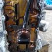 Фото Контрактный (б/у) двигатель FXJB для Ford Fiesta 80 л.с 16V 1.4 л бензин 1734722 {forloop.counter}}