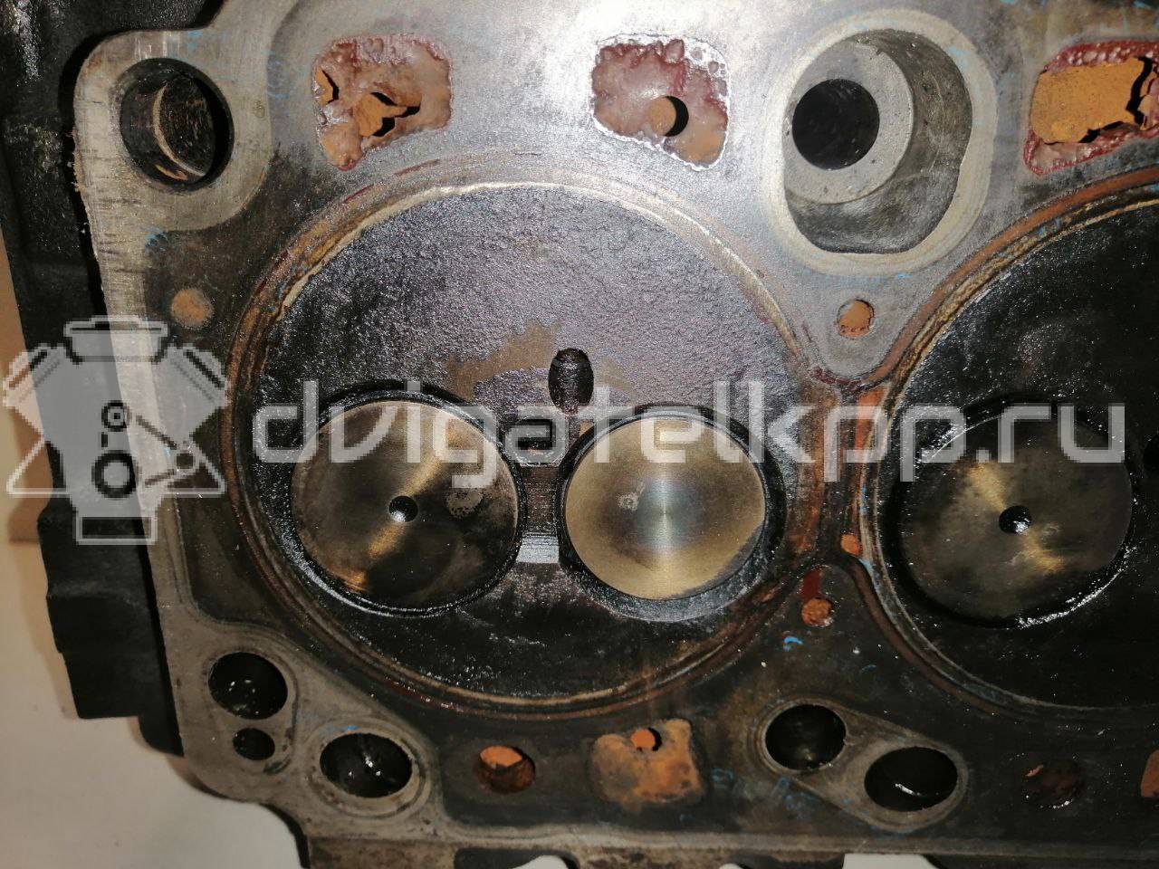 Фото Головка блока  1848114 для ford C-MAX {forloop.counter}}