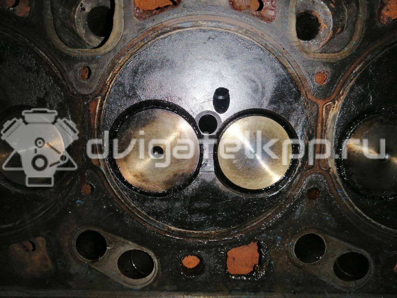 Фото Головка блока  1848114 для ford C-MAX {forloop.counter}}